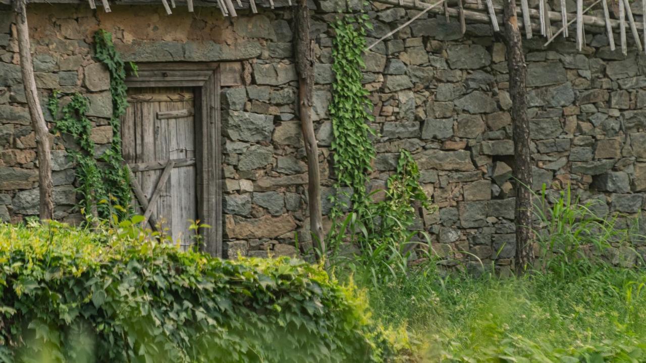Amaya Kasauli Kültér fotó