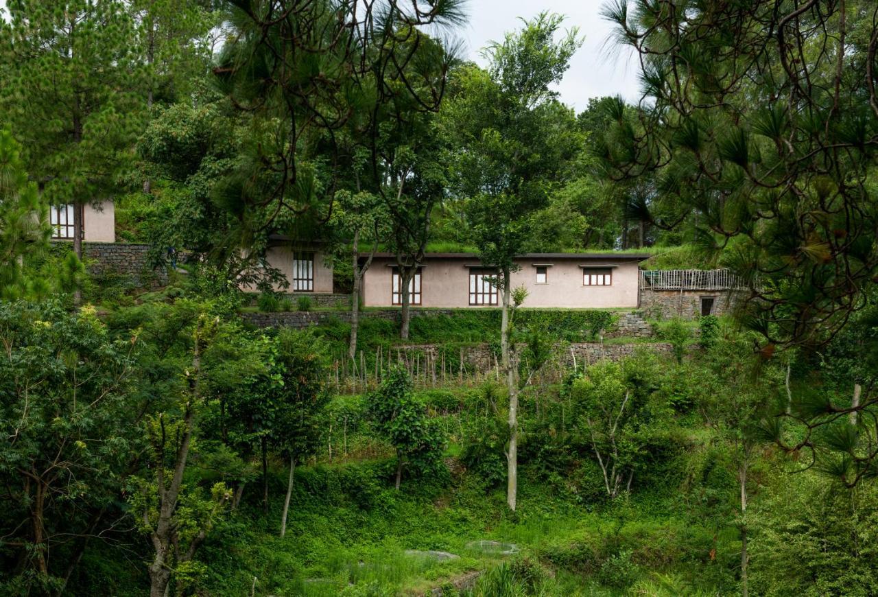 Amaya Kasauli Kültér fotó